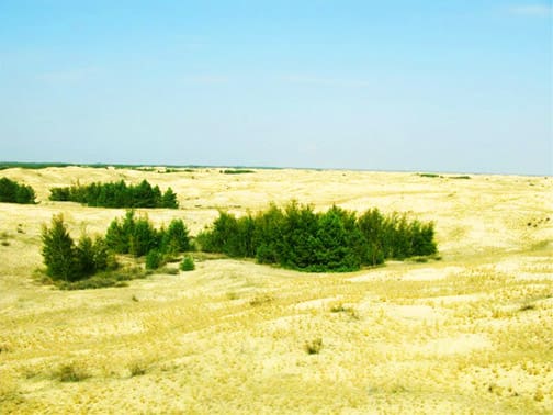 Алёшкинские пески