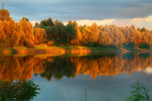 Деснянская оболонь Деснянская оболонь
