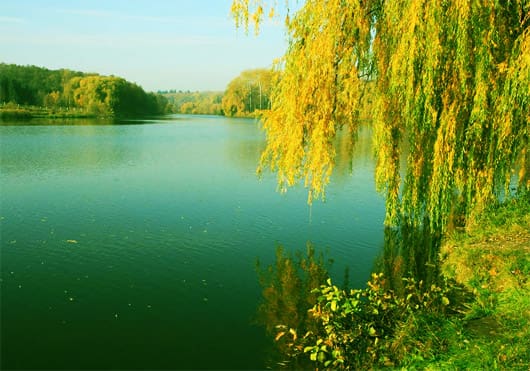 парк Александрия