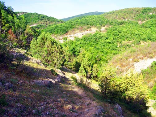 Байдарская долина Байдарская долина