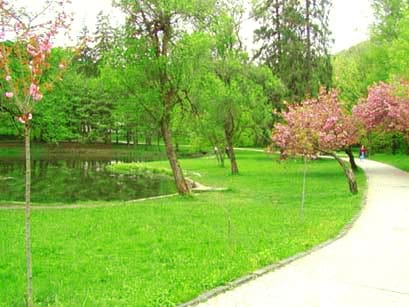 Парк в замке Шенборна