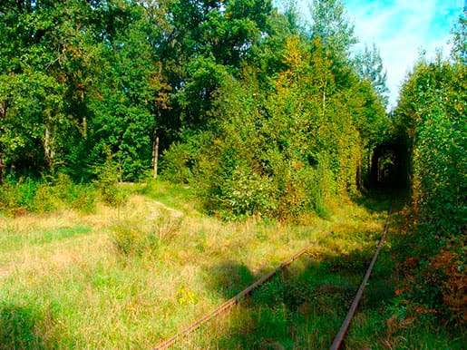 Вход в тоннель любви