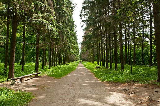 Краснокутский дендропарк