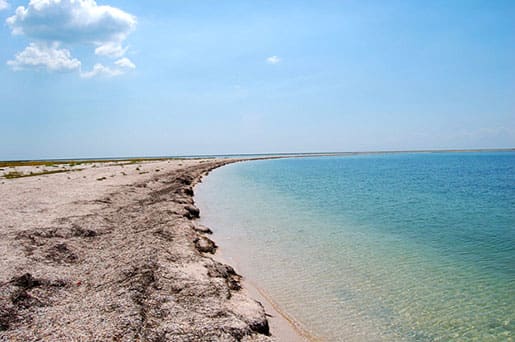 Остров Бирючий